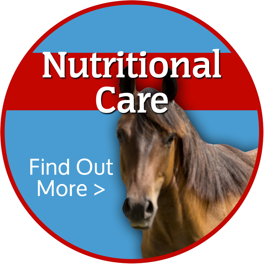 Animal Nutrition Colorado Springs